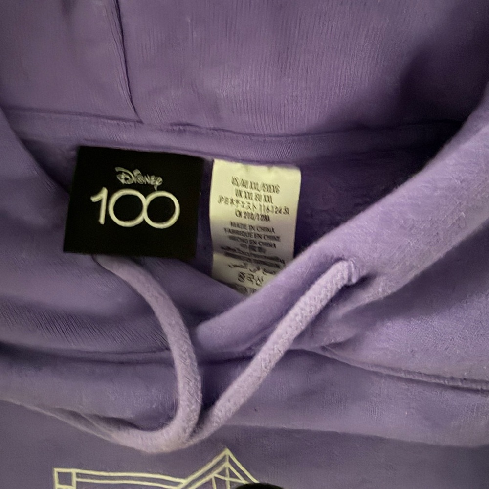 Disneyland 100th anniversary embroidered Hoodie sweatshirt - Picture 3 of 6